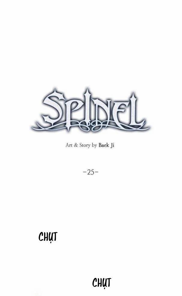 Spinel 25 trang 16