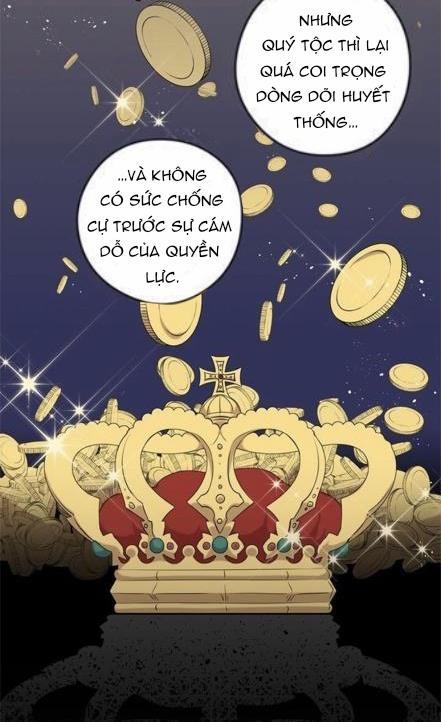 Spinel 25 trang 7