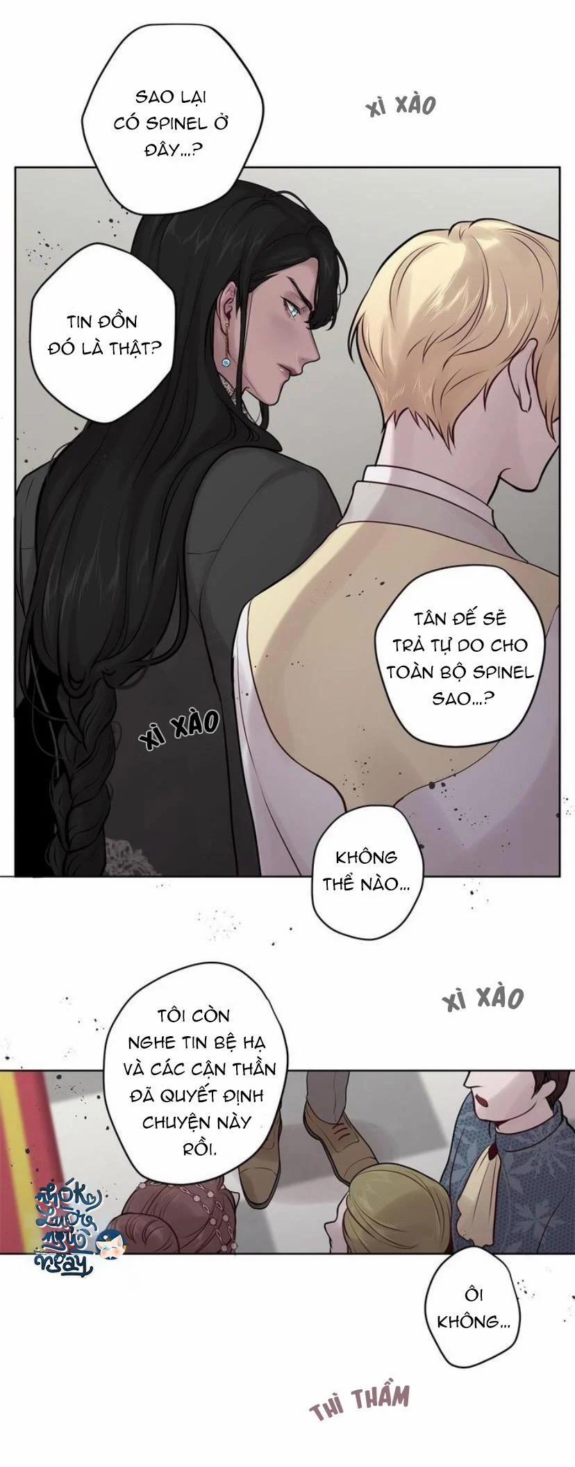 Spinel 26 trang 21