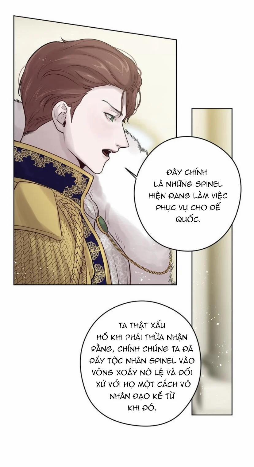 Spinel 26 trang 31