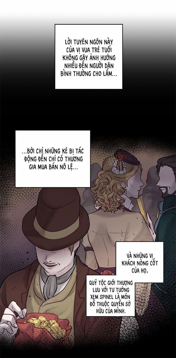 Spinel 27 trang 8
