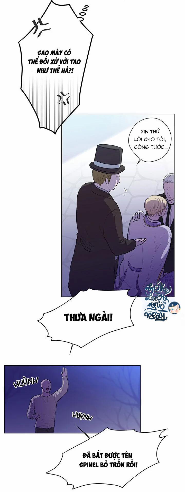 Spinel 3 trang 6
