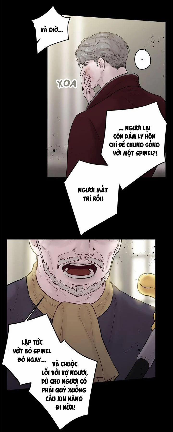 Spinel 32 trang 10