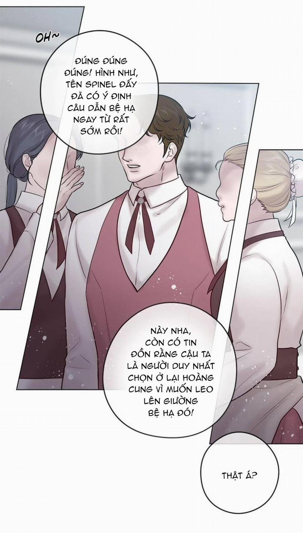 Spinel 34 trang 8