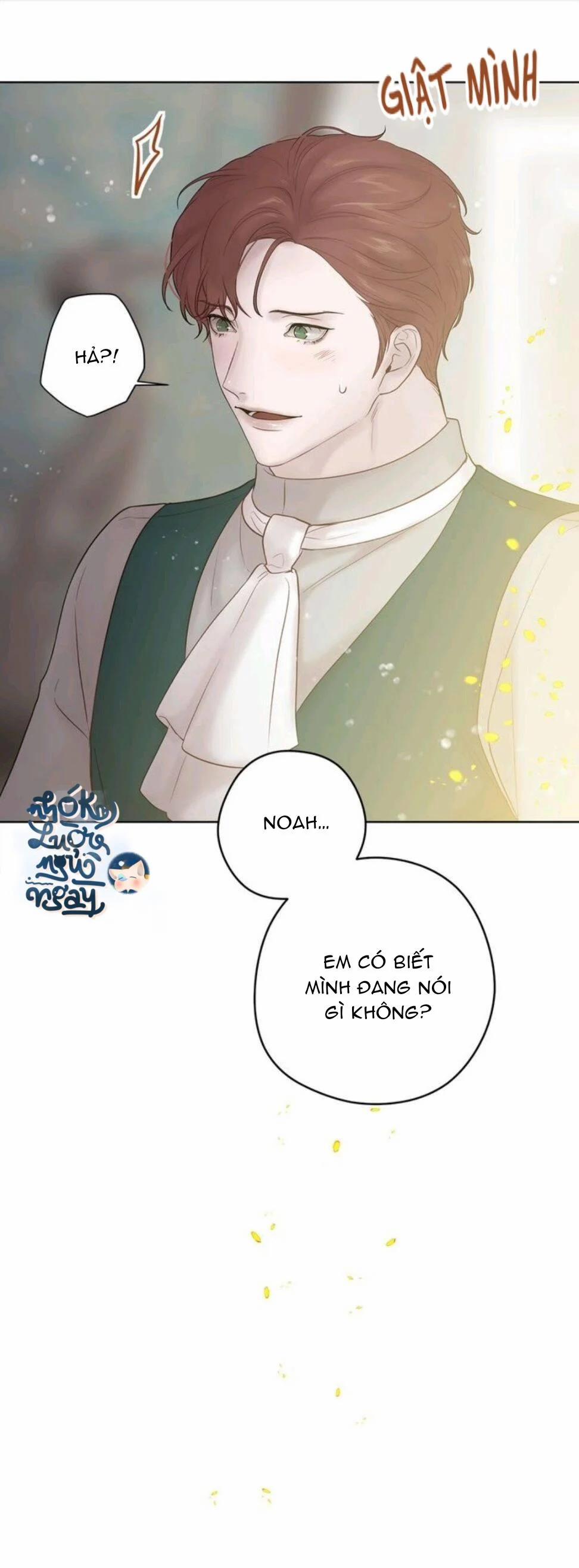 Spinel 35.5 trang 12