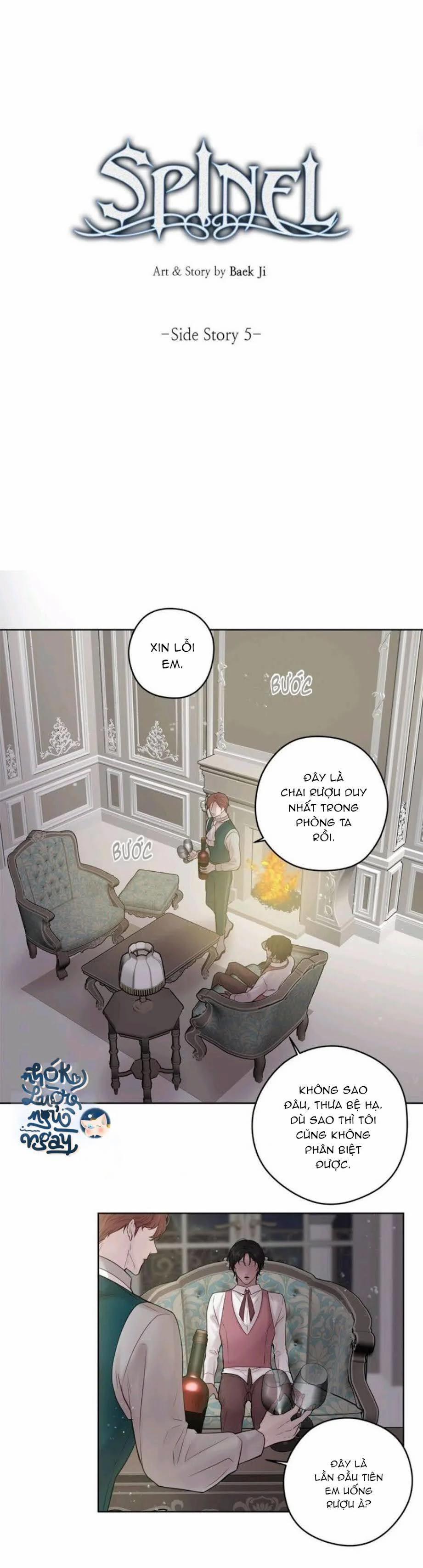 Spinel 35 trang 3