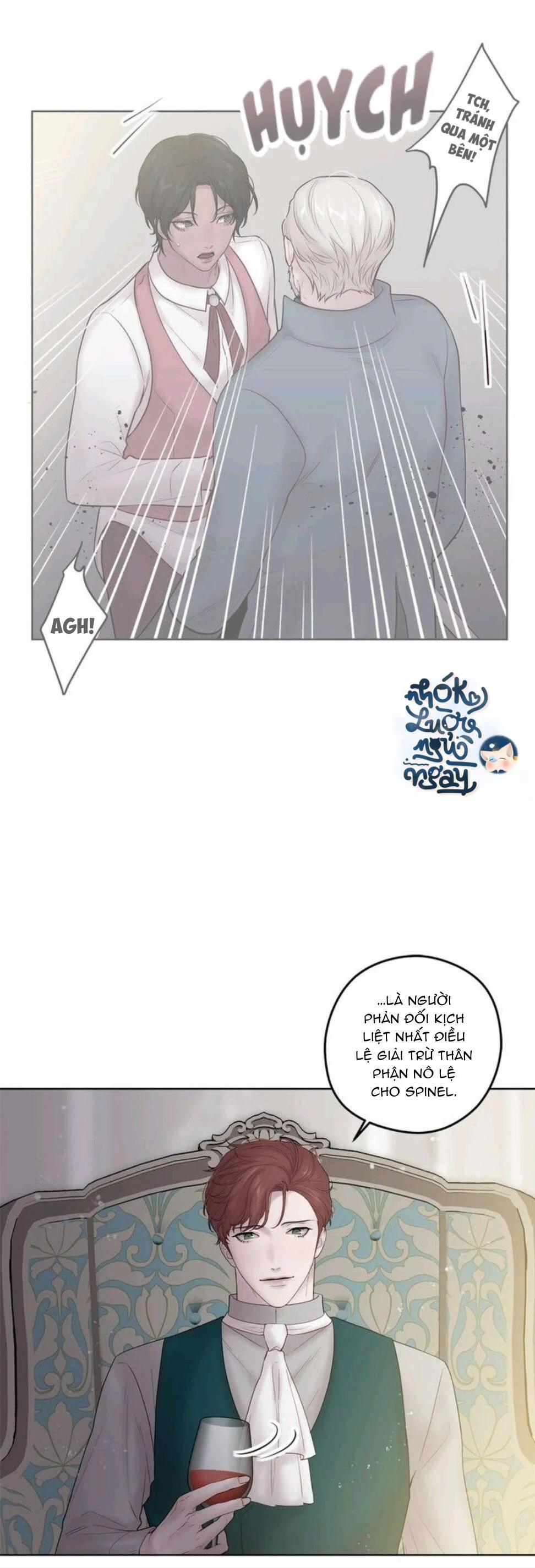 Spinel 35 trang 8