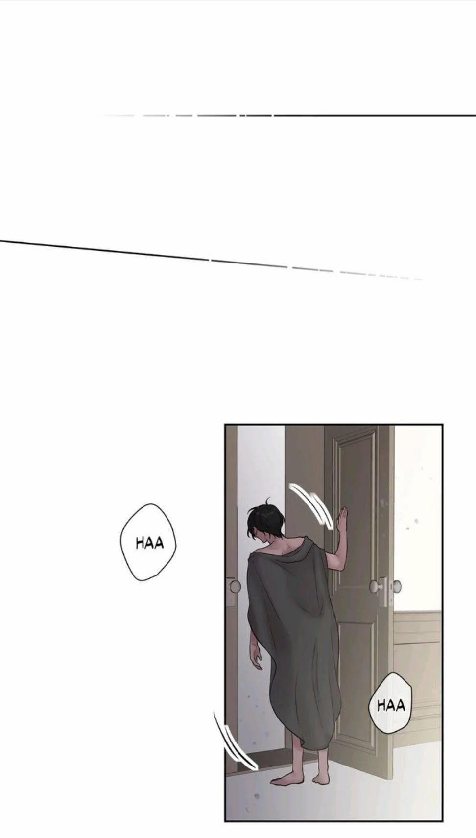 Spinel 36.5 trang 13