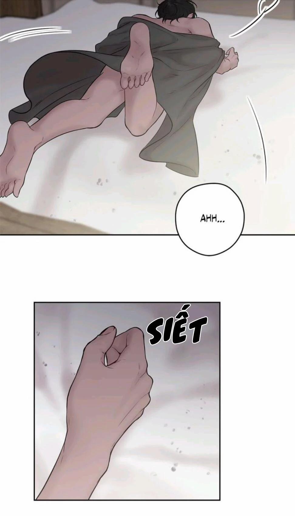 Spinel 36.5 trang 15