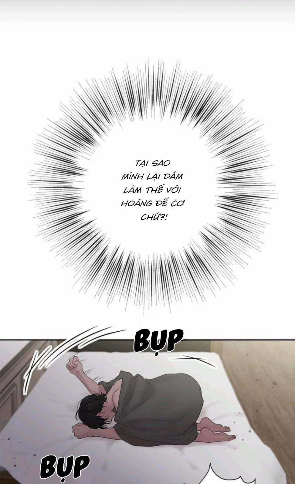 Spinel 36.5 trang 20