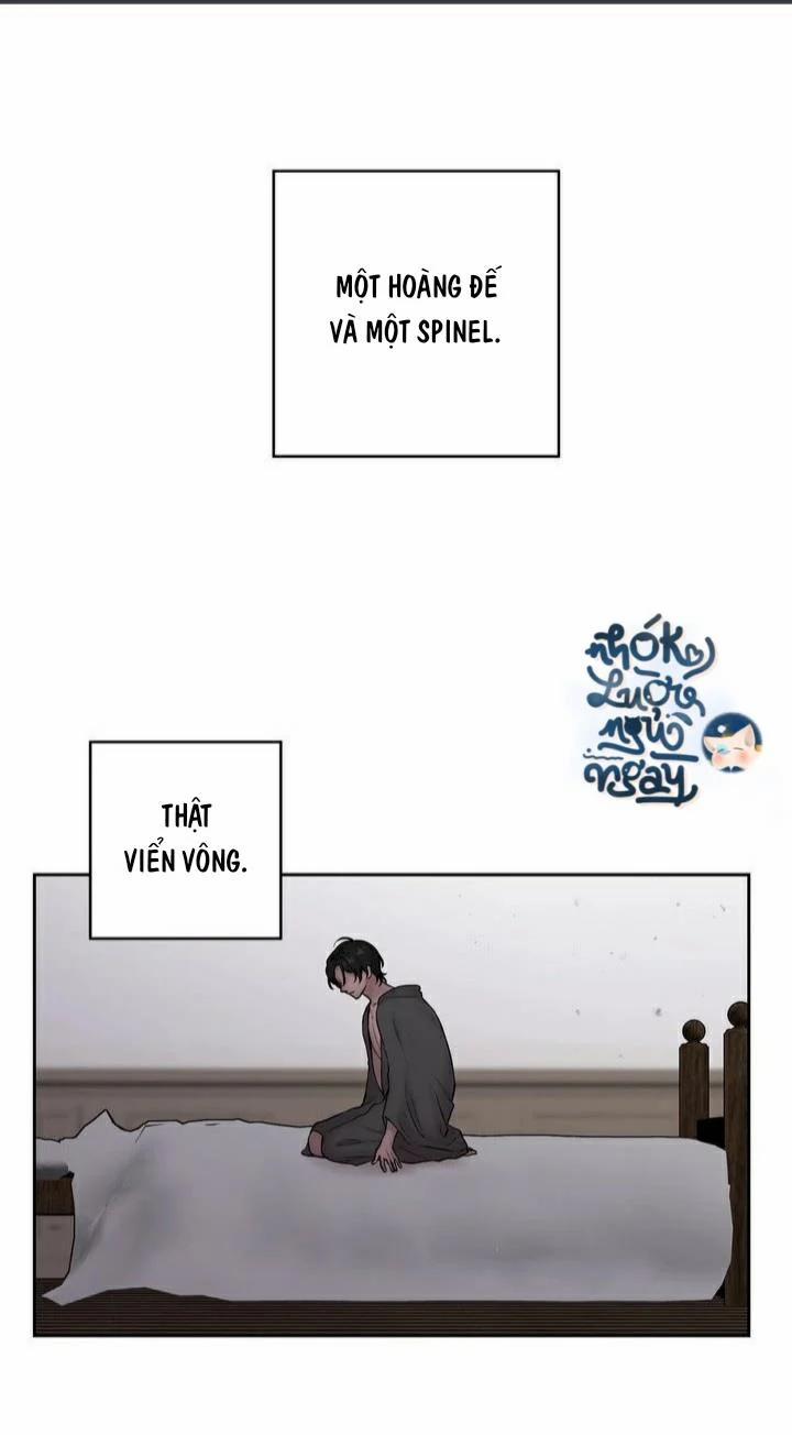 Spinel 37 trang 0