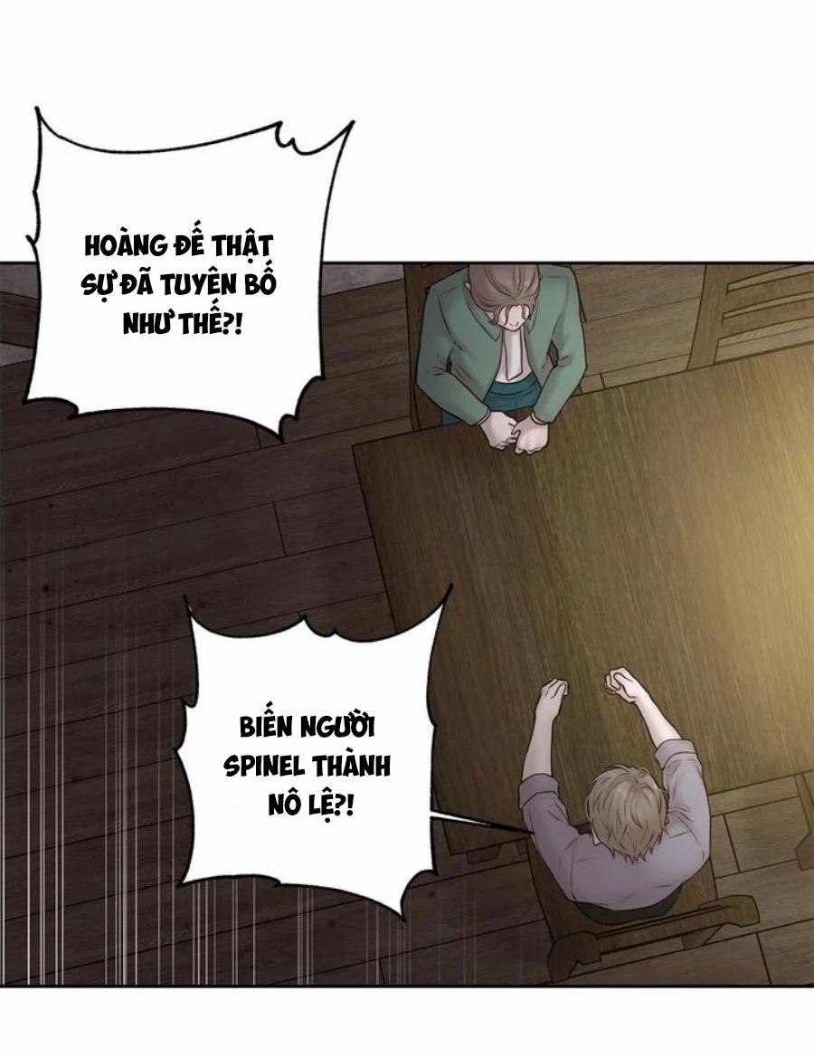 Spinel 40.5 trang 5