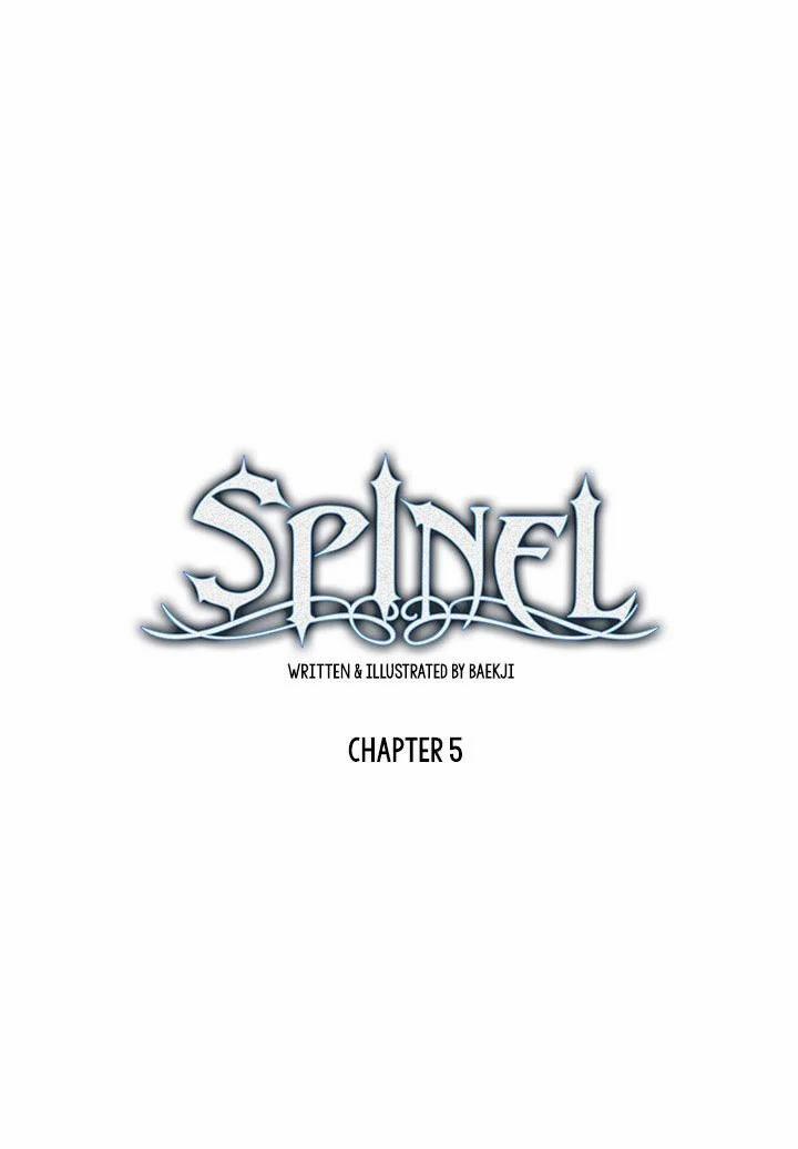 Spinel 5 trang 13