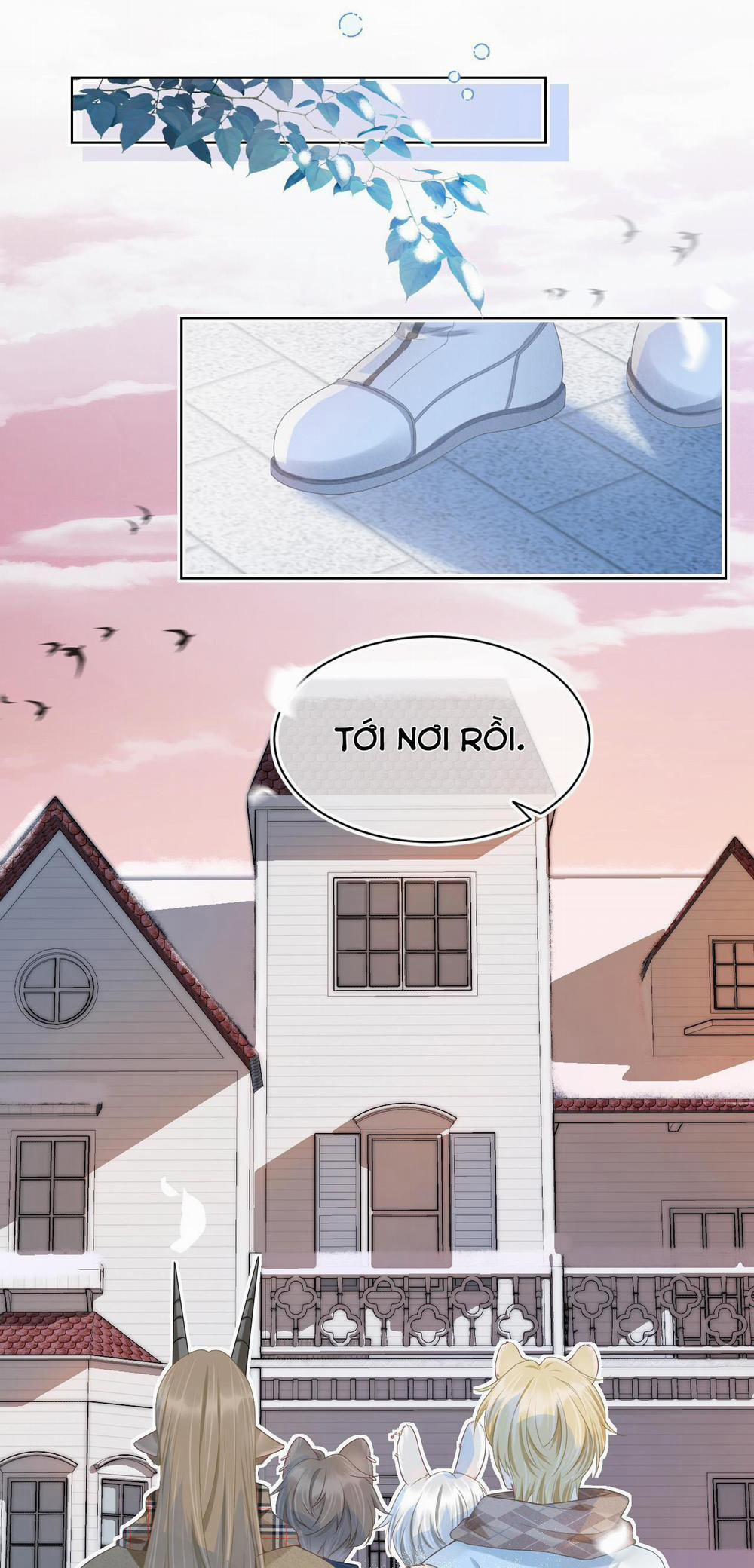 [Ss2] Một Ngụm Ăn Cả Thỏ Con 0 trang 12