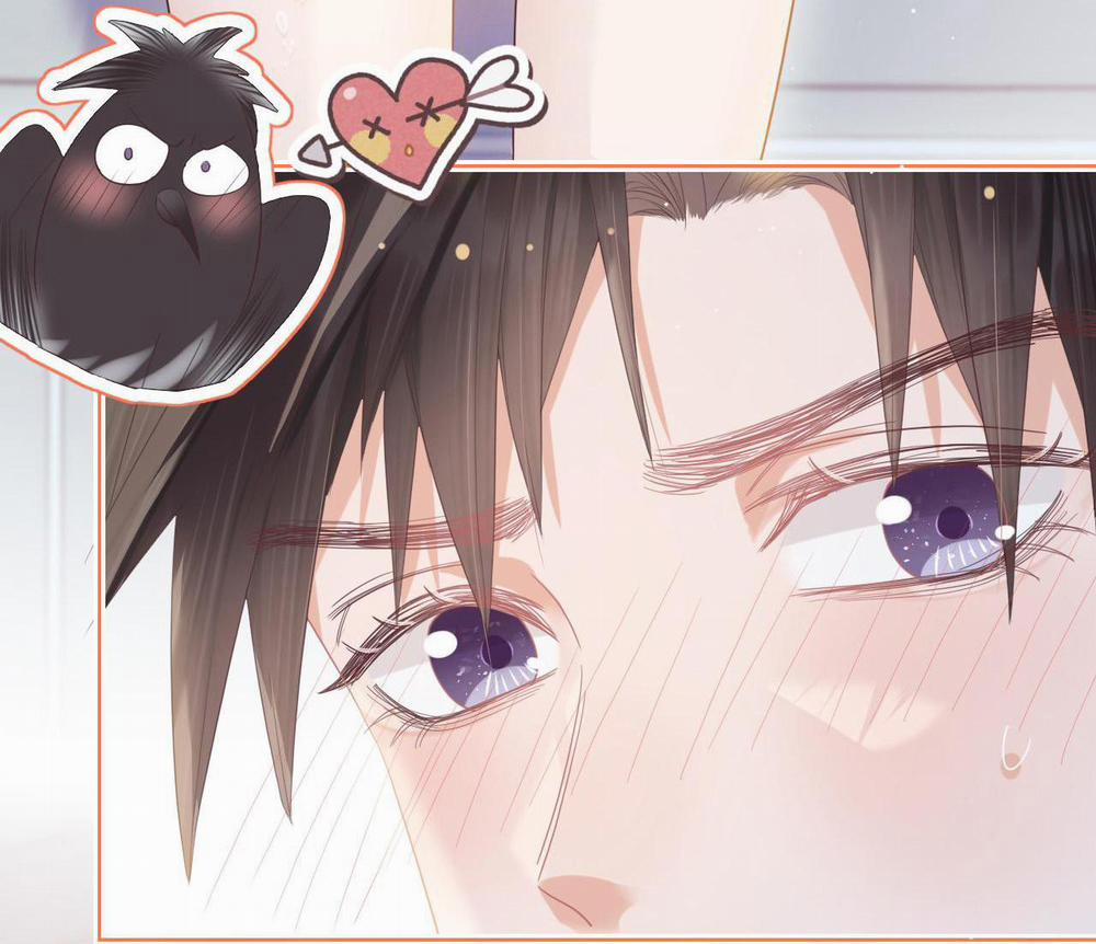 [Ss2] Một Ngụm Ăn Cả Thỏ Con 12 trang 11