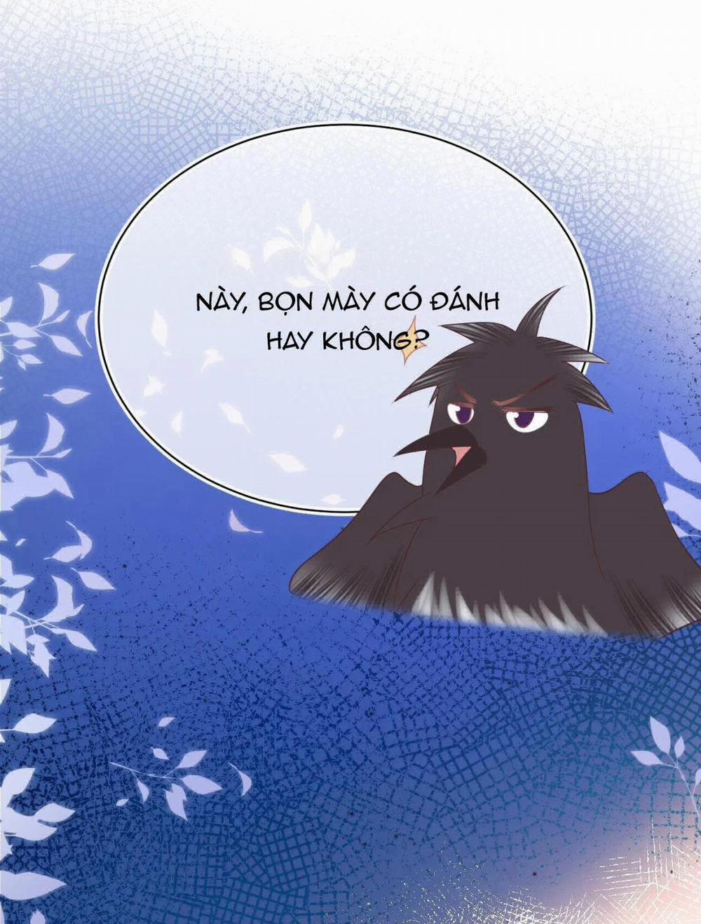 [Ss2] Một Ngụm Ăn Cả Thỏ Con 14 trang 33