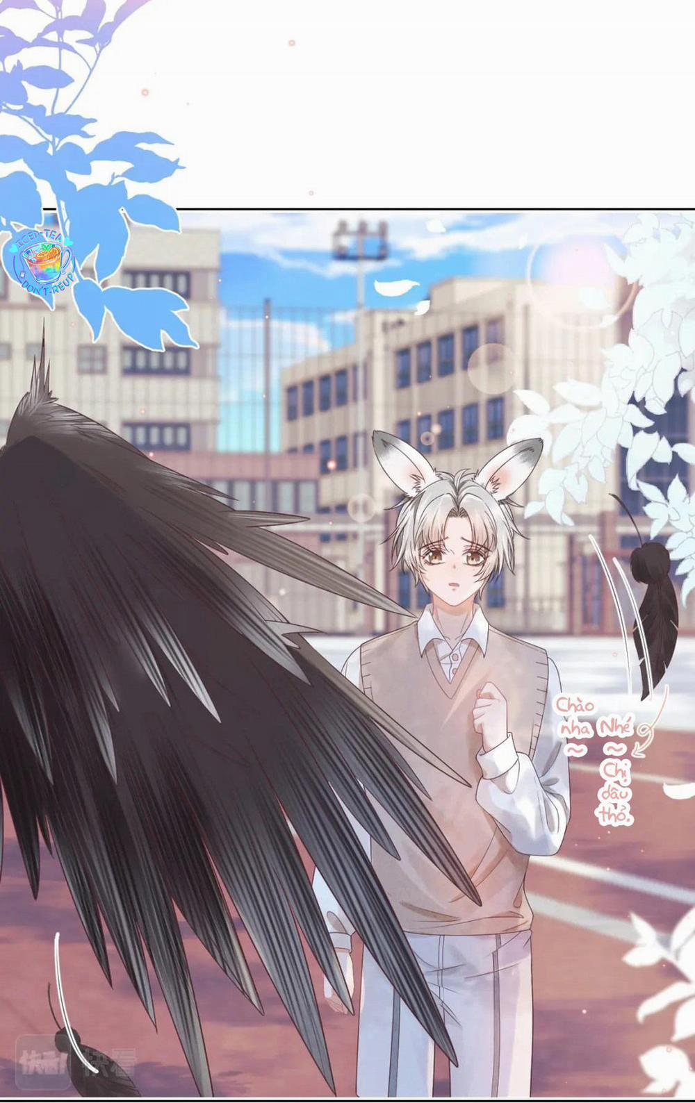 [Ss2] Một Ngụm Ăn Cả Thỏ Con 15 trang 2