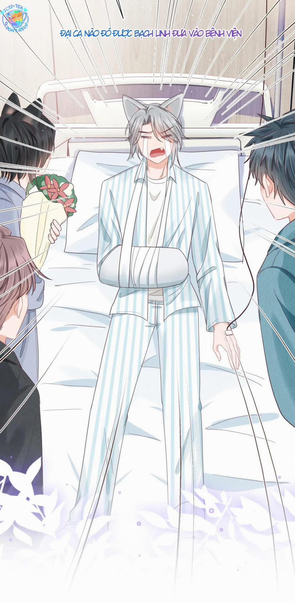 [Ss2] Một Ngụm Ăn Cả Thỏ Con 15 trang 47