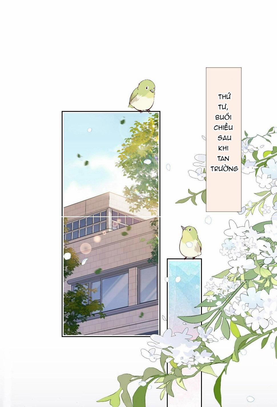 [Ss2] Một Ngụm Ăn Cả Thỏ Con 27 trang 0