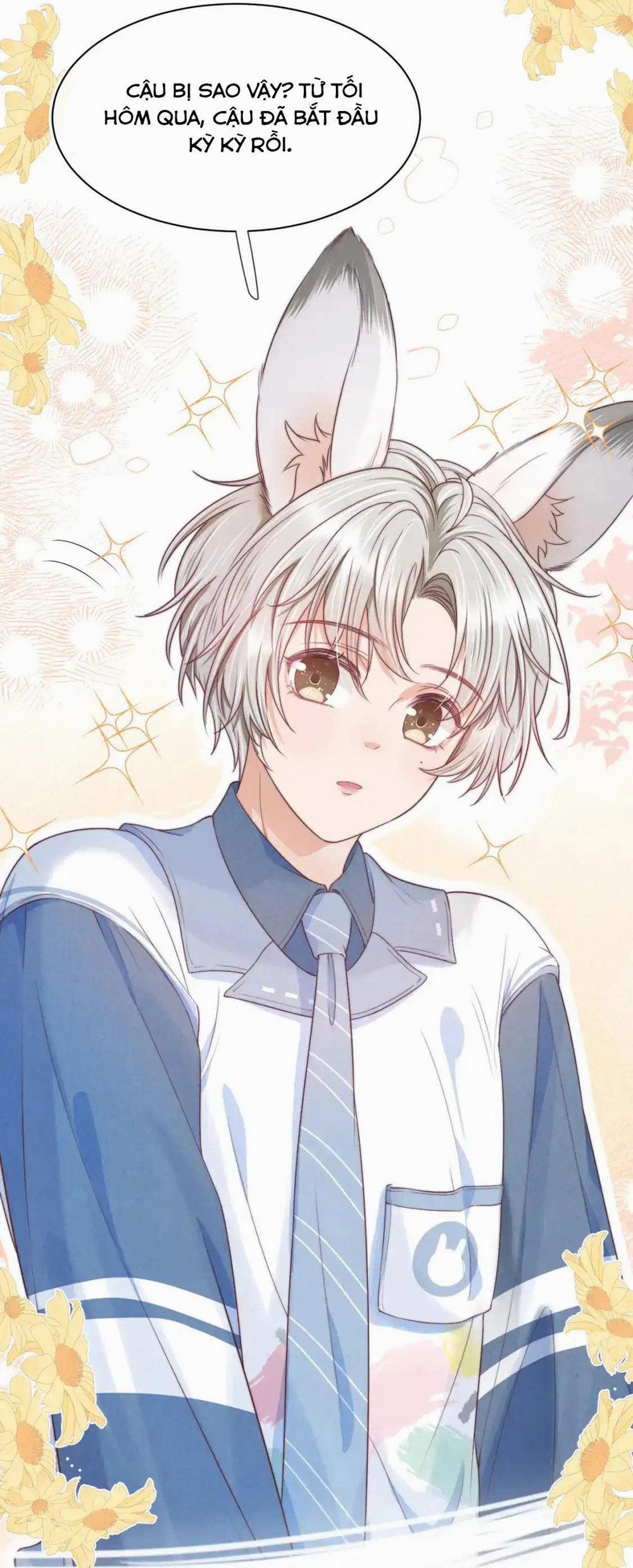 [Ss2] Một Ngụm Ăn Cả Thỏ Con 41 trang 10