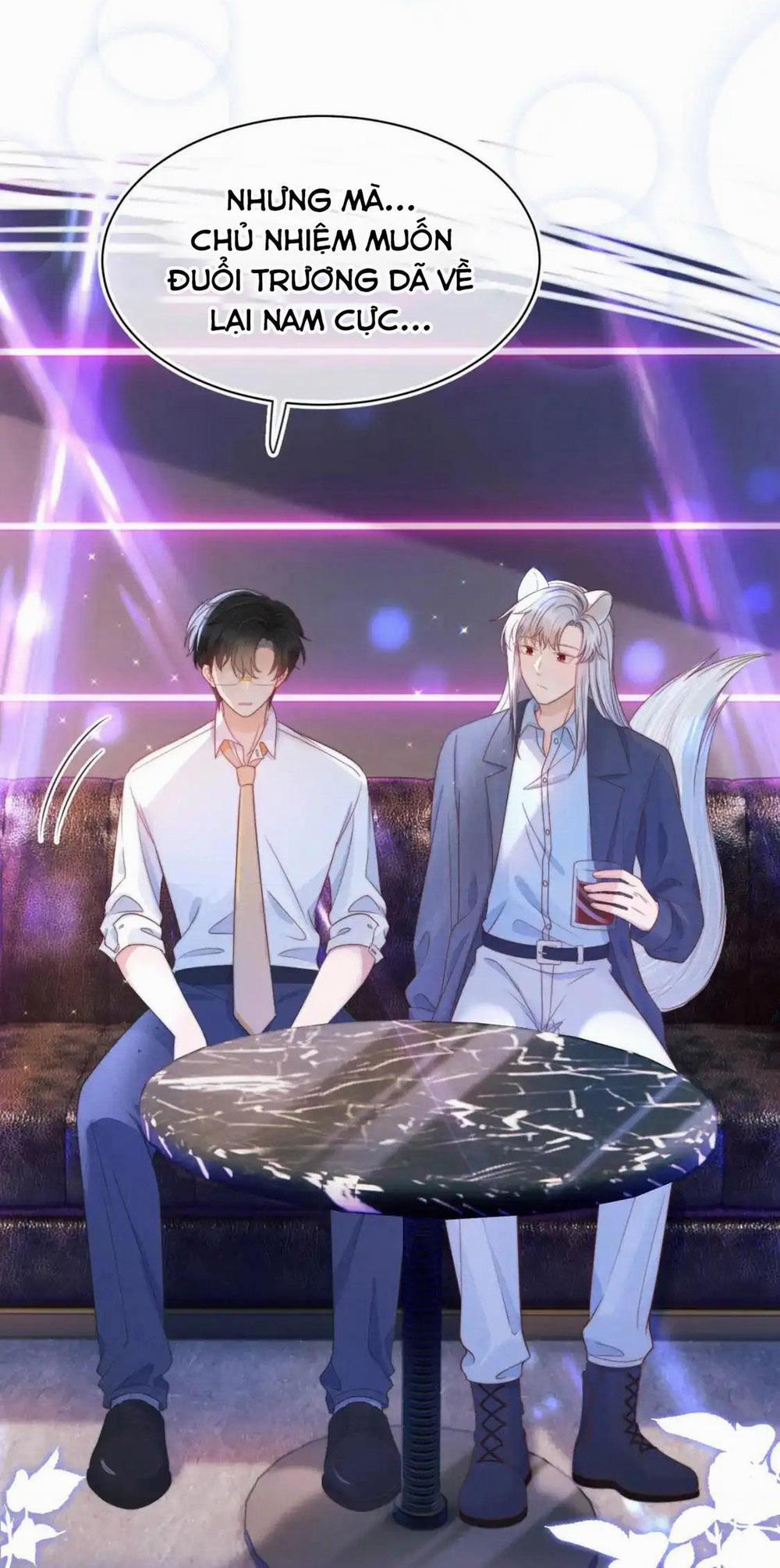 [Ss2] Một Ngụm Ăn Cả Thỏ Con 42 trang 15