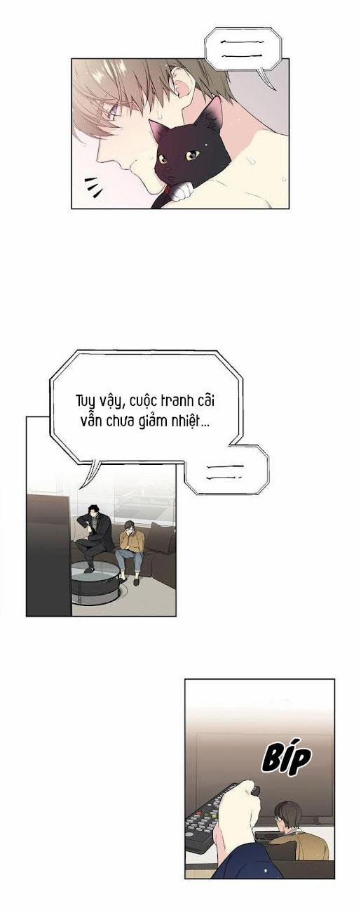 Starlight Scandal. 1 trang 8