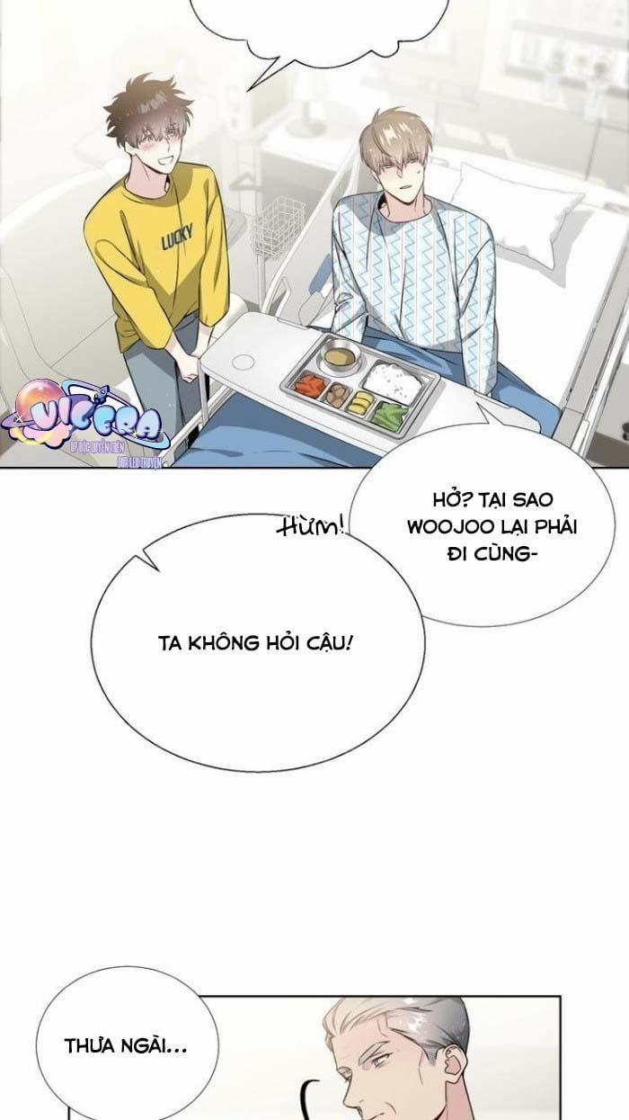 Starlight Scandal. 17 trang 18