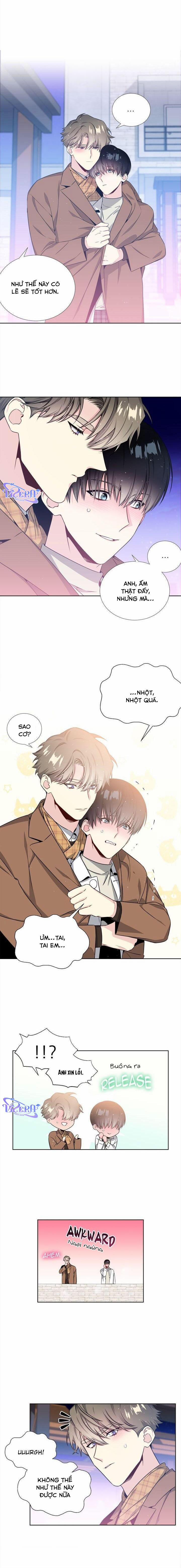 Starlight Scandal. 26 trang 8