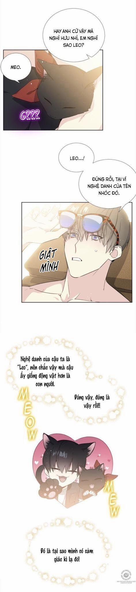 Starlight Scandal. 5 trang 1