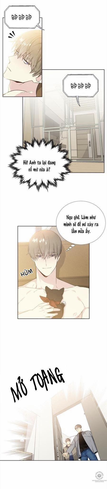 Starlight Scandal. 5 trang 2