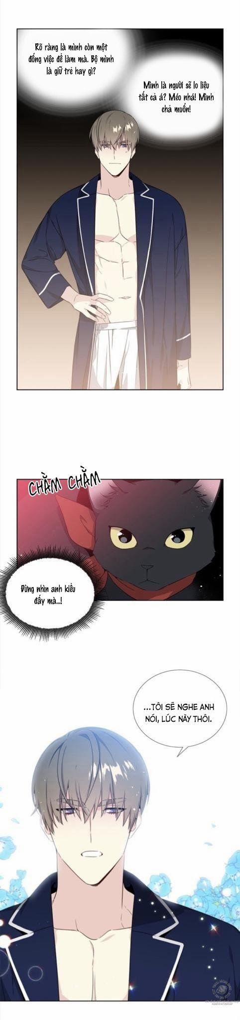 Starlight Scandal. 5 trang 8