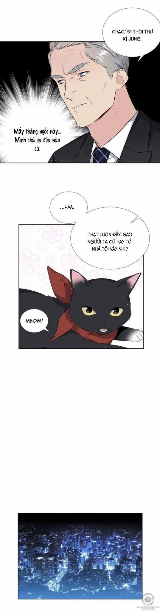 Starlight Scandal. 6 trang 13