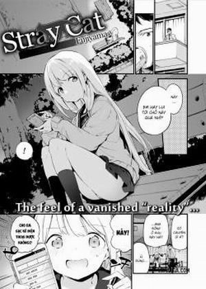 Đọc truyện tranh Stray Cat