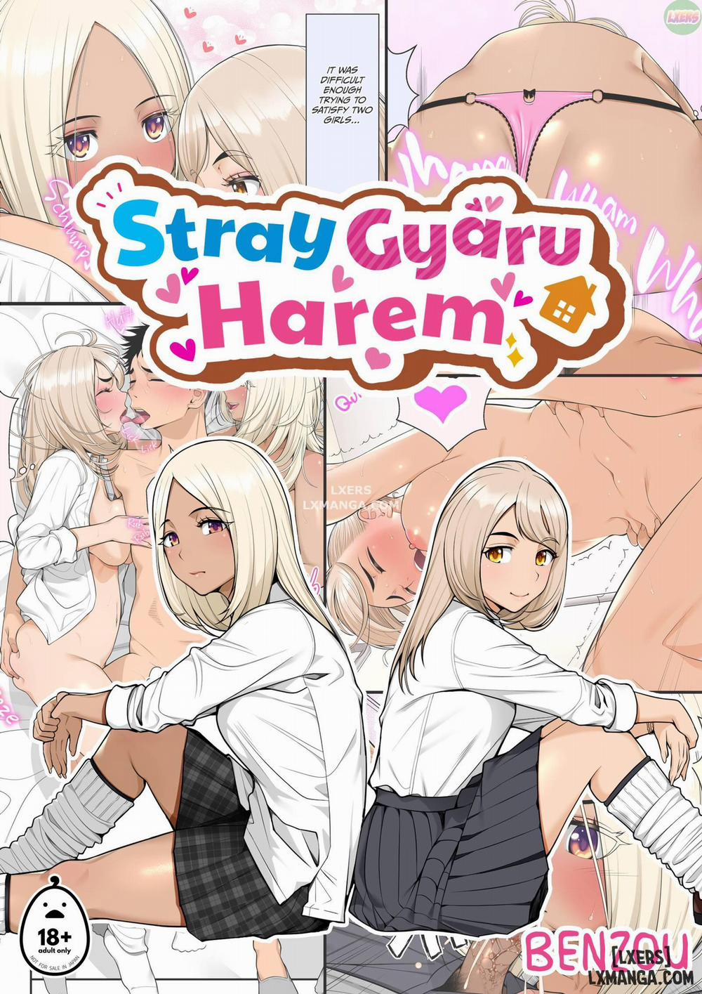 Stray Gyaru Harem 1 trang 0