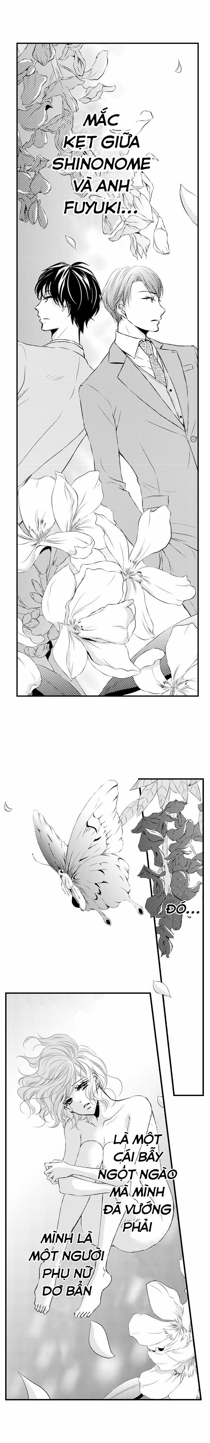 Sự Cao Trào Hoàn Hảo 14 trang 5