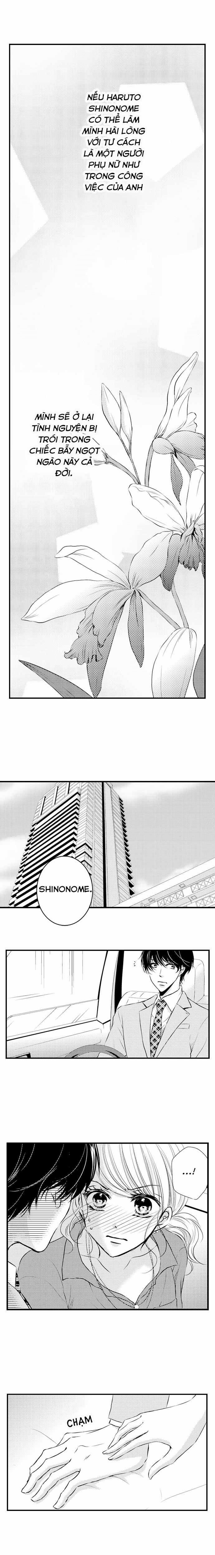 Sự Cao Trào Hoàn Hảo 15 trang 5