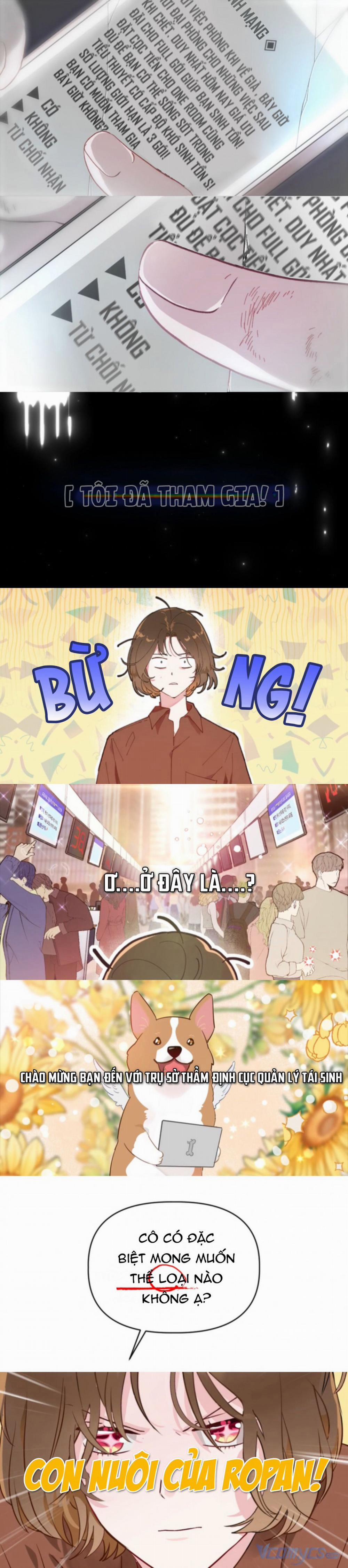 Sự Điều Trị Đặc Biệt Của Tinh Linh 0 trang 1