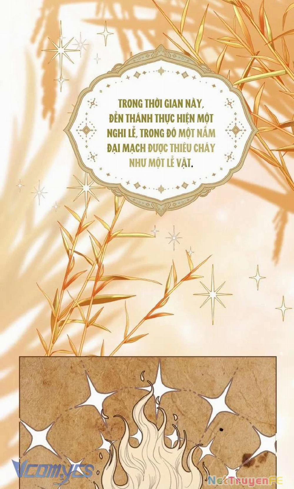 Sự Điều Trị Đặc Biệt Của Tinh Linh 84 trang 45