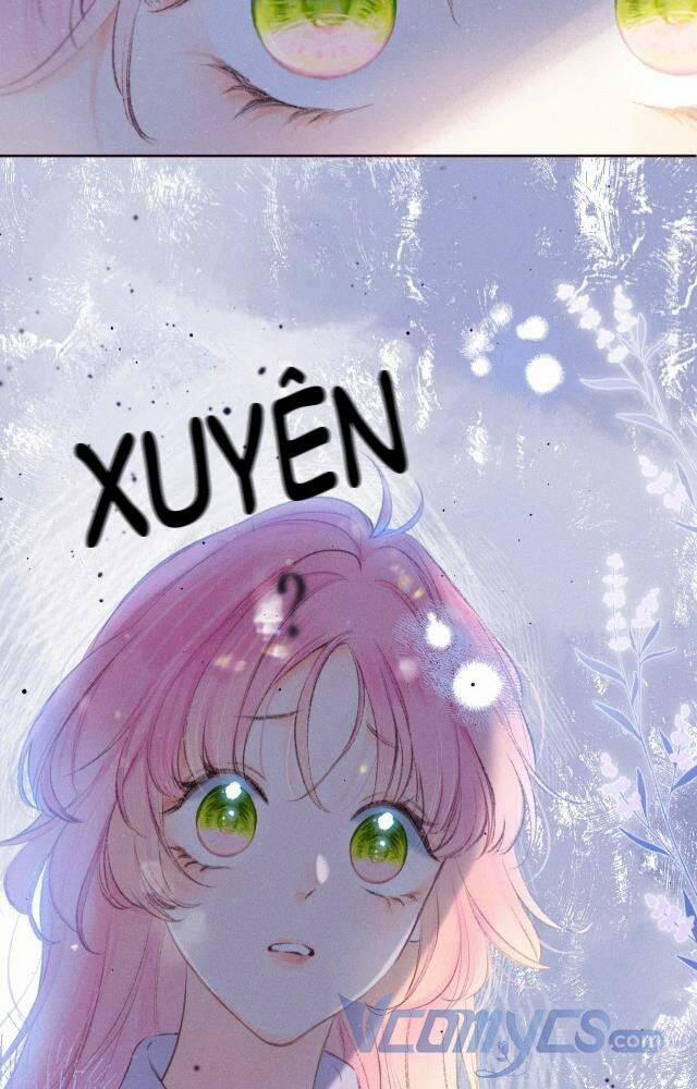 Sự Gai Góc Dịu Dàng 2 trang 1