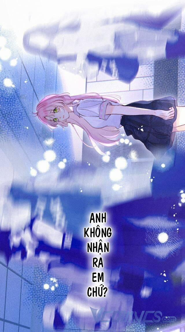 Sự Gai Góc Dịu Dàng 2 trang 3