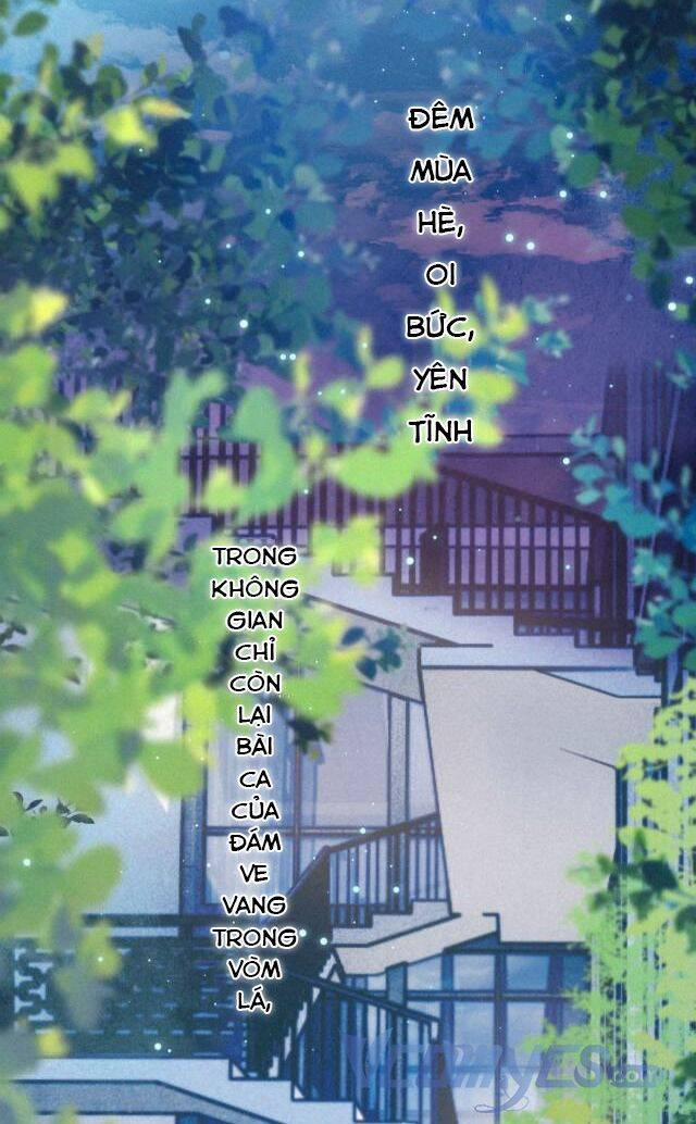 Sự Gai Góc Dịu Dàng 3 trang 43