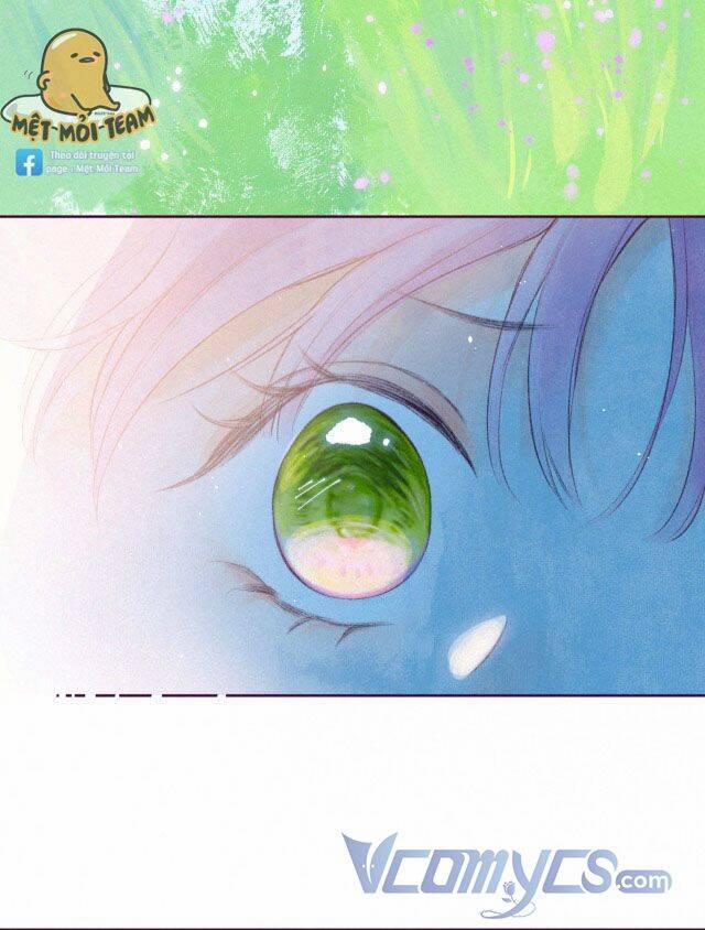 Sự Gai Góc Dịu Dàng 6 trang 12