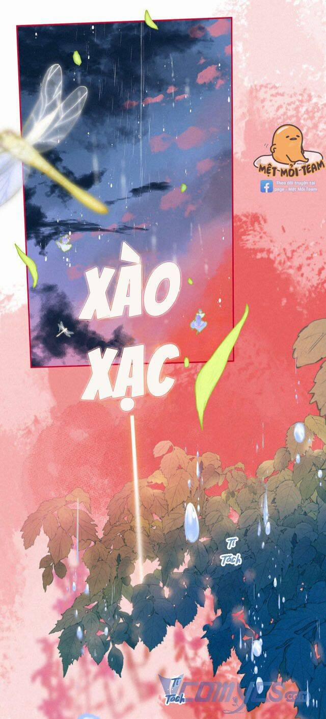 Sự Gai Góc Dịu Dàng 6 trang 41