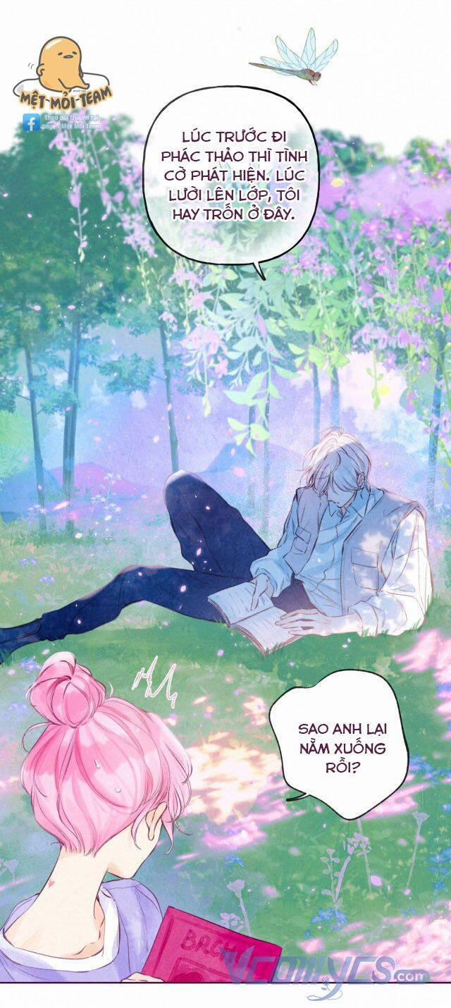 Sự Gai Góc Dịu Dàng 6 trang 8