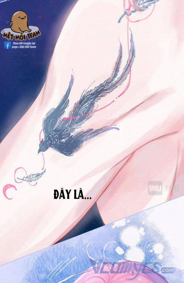 Sự Gai Góc Dịu Dàng 7 trang 55