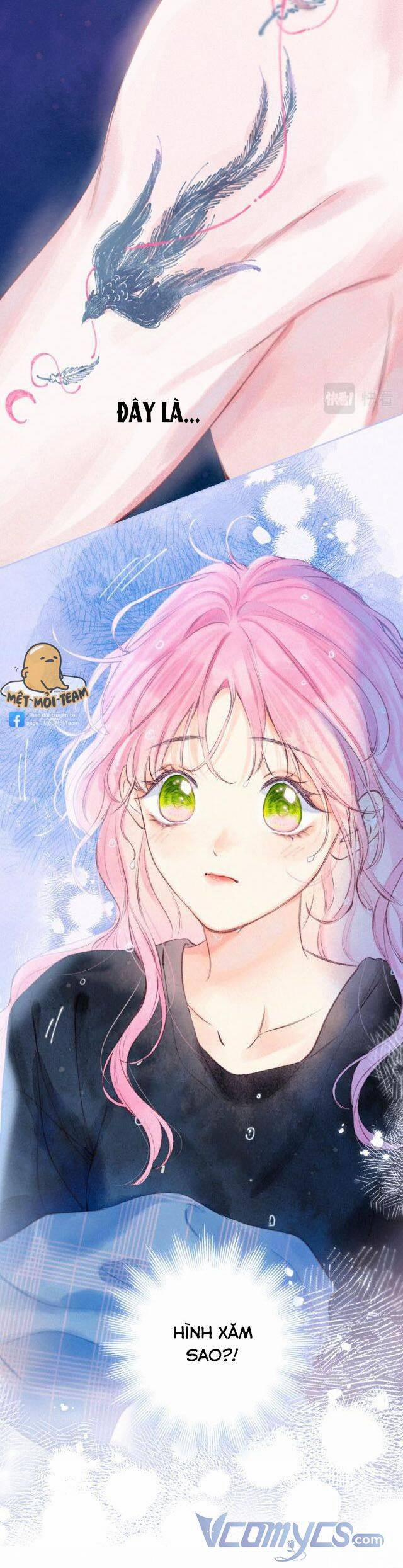 Sự Gai Góc Dịu Dàng 8 trang 0