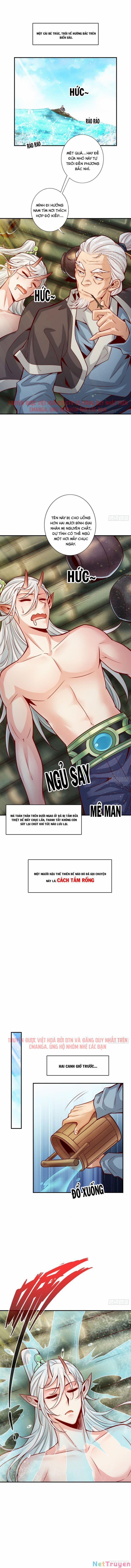 Sư Huynh Của Ta Quá Cẩn Thận Rồi 73 trang 1