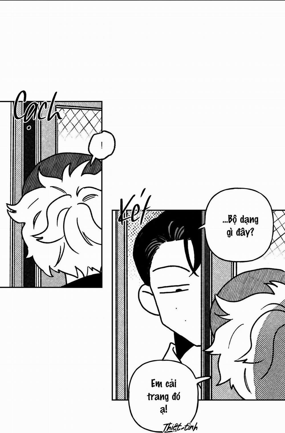 Sự Kết Hợp Hoàn Hảo 10 trang 15