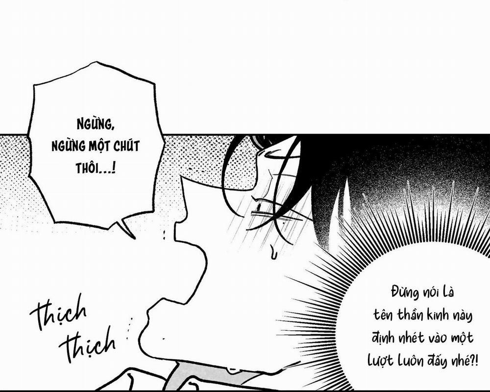 Sự Kết Hợp Hoàn Hảo 11 trang 13