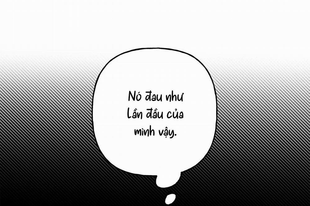 Sự Kết Hợp Hoàn Hảo 11 trang 30